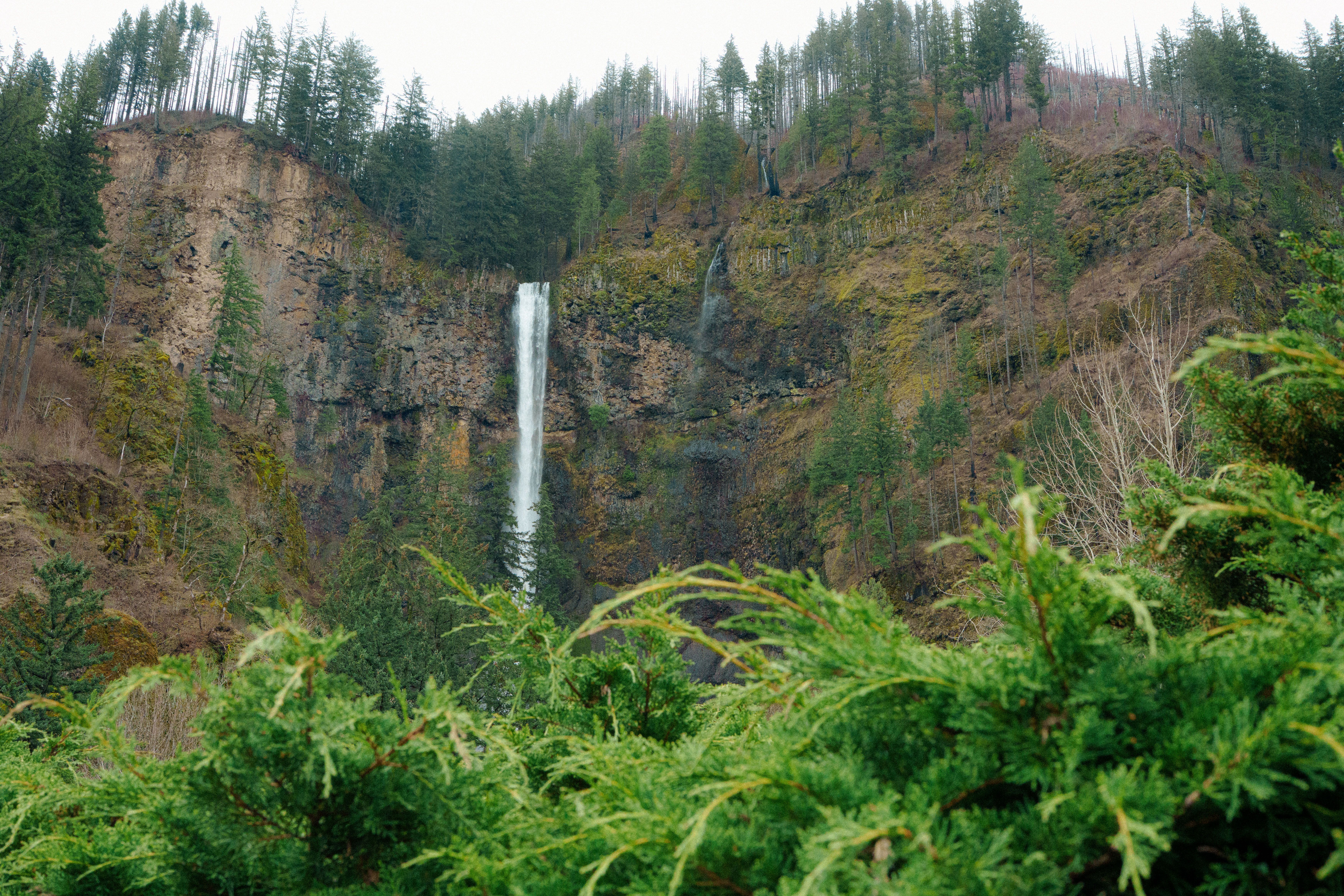 The Oregon coast under heavy fog.
