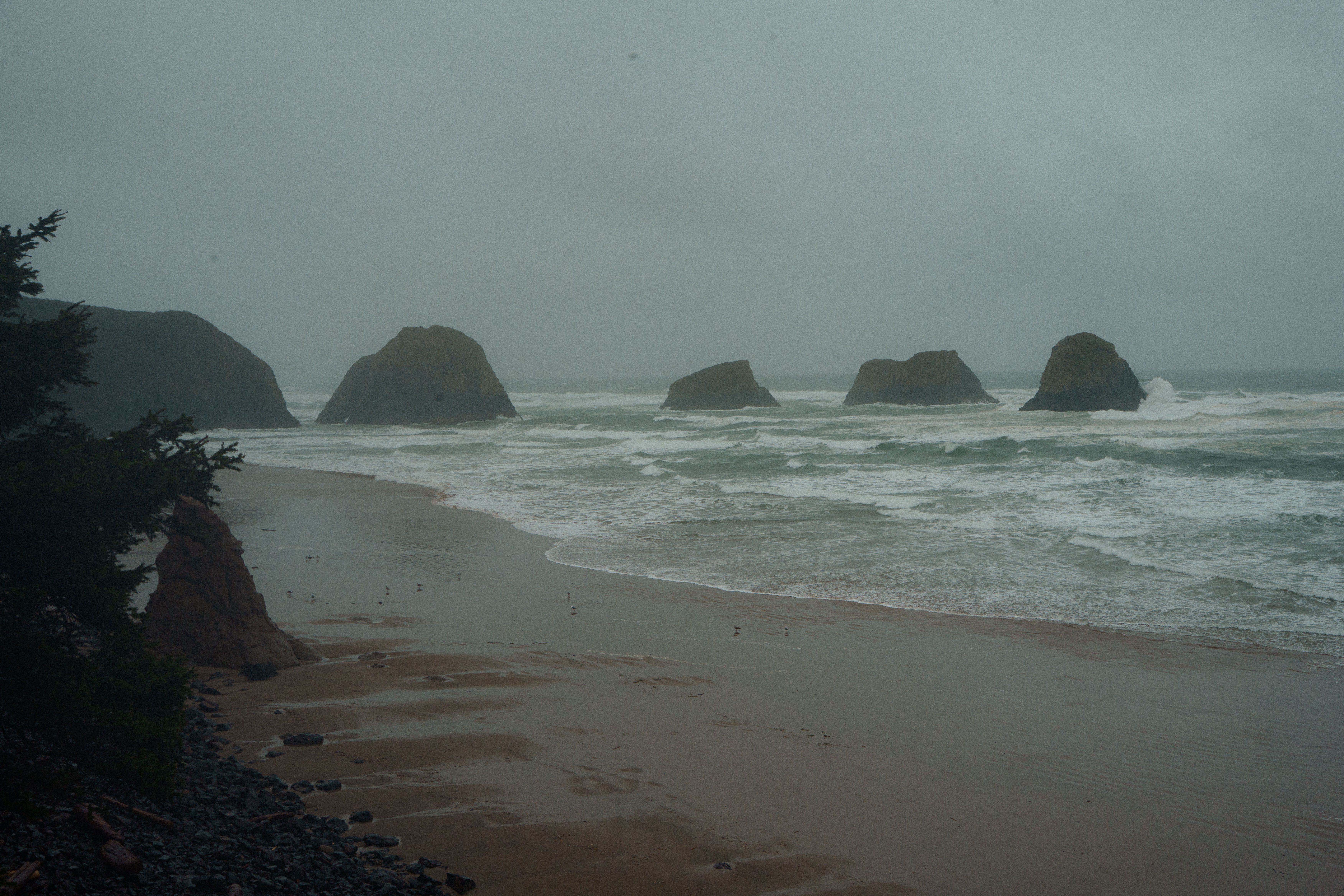 The Oregon coast under heavy fog.