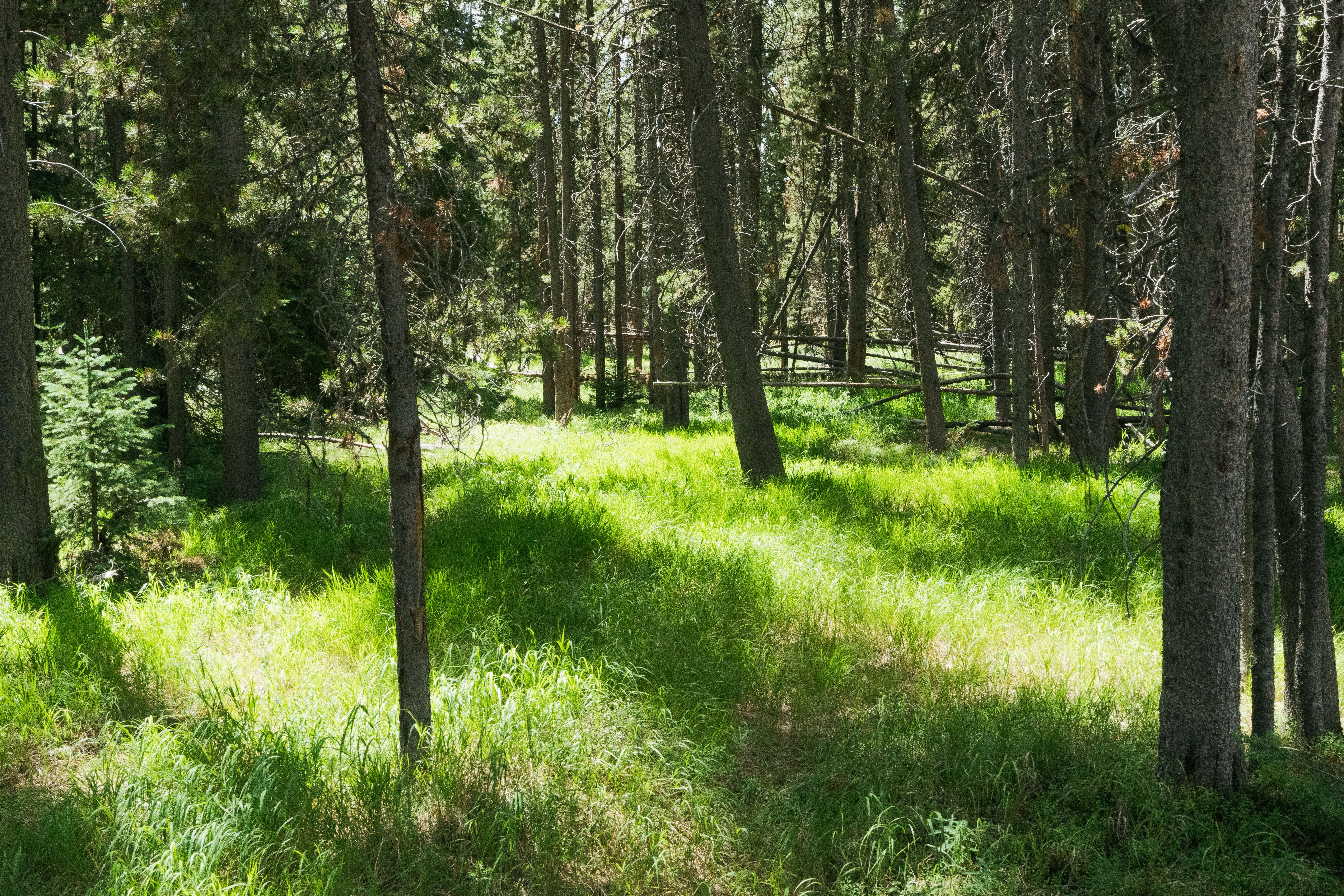 Yellowstone Lake from a distance, with a storm approaching.